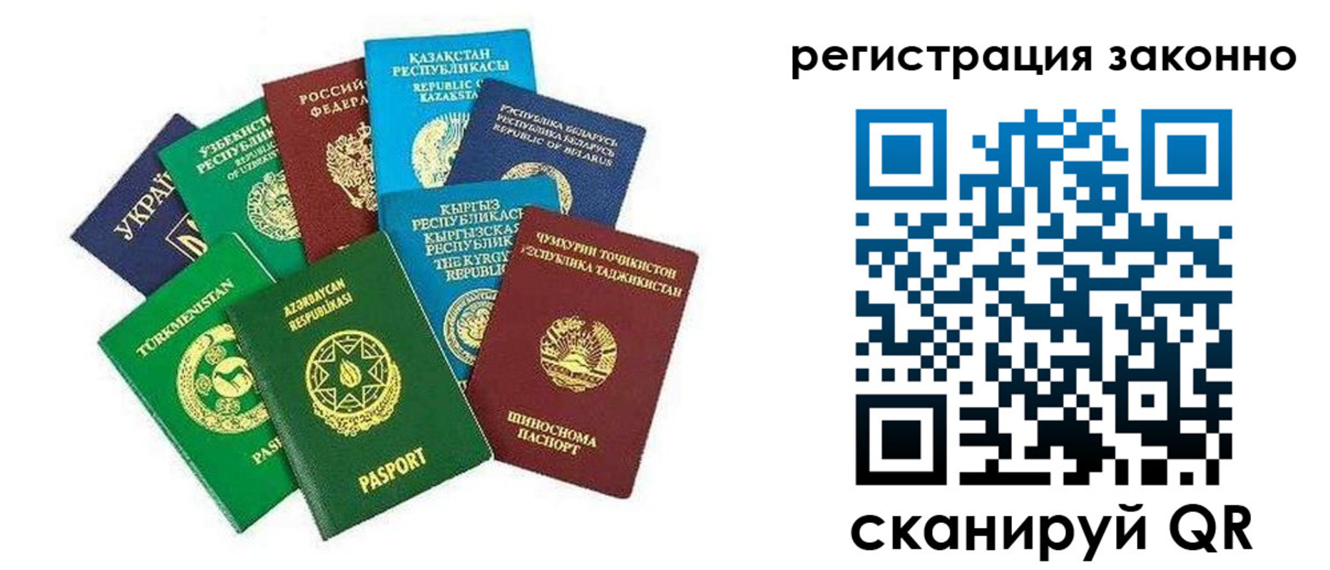 прописка 2025 в Курске